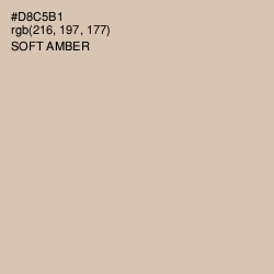 #D8C5B1 - Soft Amber Color Image